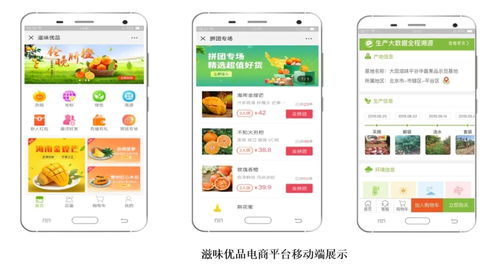 智慧農業新篇章 1.28億元數字化服務，守護農產品安全生命線